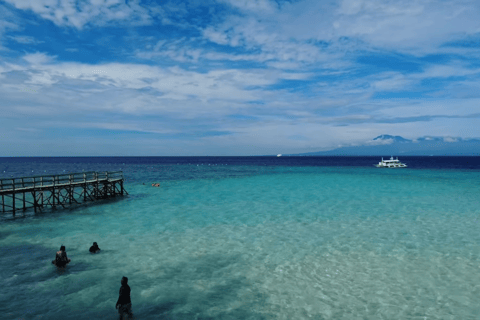 Oslob: Whale Sharks, Tumalog Falls & Sumilon Trio Adventure
