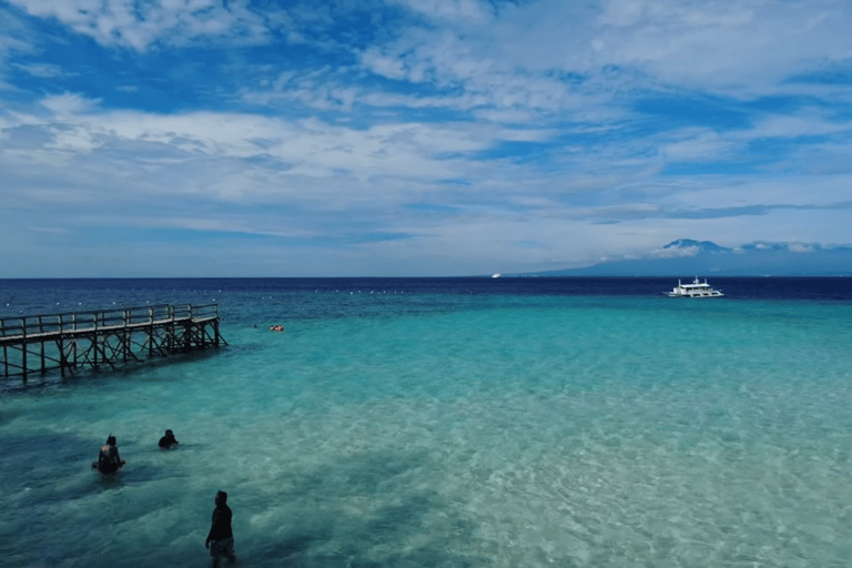 Oslob: Whale Sharks, Tumalog Falls & Sumilon Trio Adventure