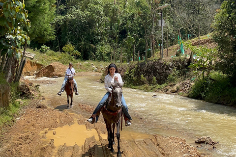 Medellín : excursion à cheval à Caldas avec boissonsMedellín : excursion équestre à Caldas avec boissons