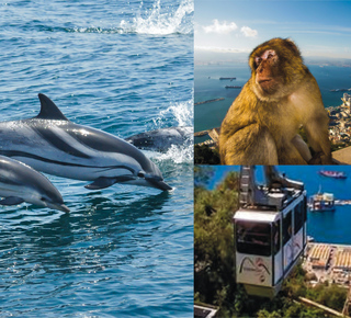 Boat Tours in Gibraltar