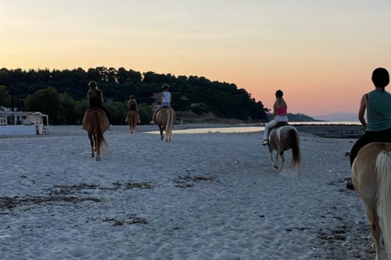 From Thessaloniki: Kallithea Beach Horseback Riding Horse Beach