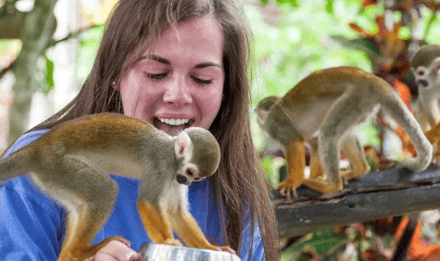 Punta Cana: Monkey Land Half-Day Safari and Plantation