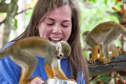 Punta Cana: Safari de meio dia na Terra dos Macacos e Plantação