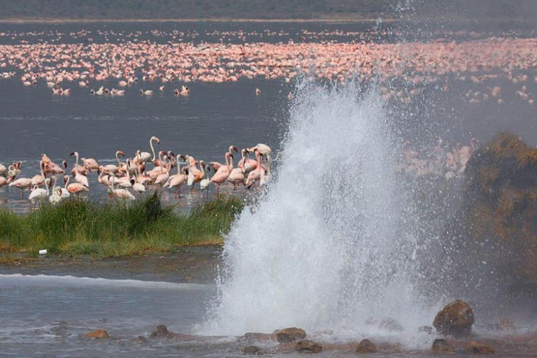 Lake Nakuru & Naivasha National Park Wildlife Highlights
