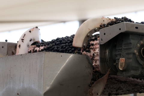 Colchagua : expérience de luxe aux caves VIK et MontesColchagua : expérience de luxe avec VIK et la cave Montes