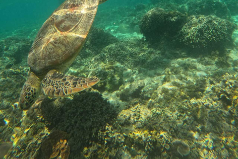 Private Trip Snorkeling: Gili Trawangan, Gili Meno, Gili Air