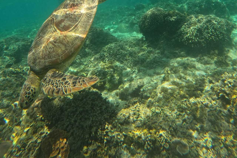 Private Trip Snorkeling: Gili Trawangan, Gili Meno, Gili Air