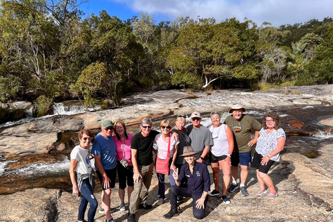 Cairns: Half-Day Premium 4WD Rainforest & Waterfall Tour Half Day Tour