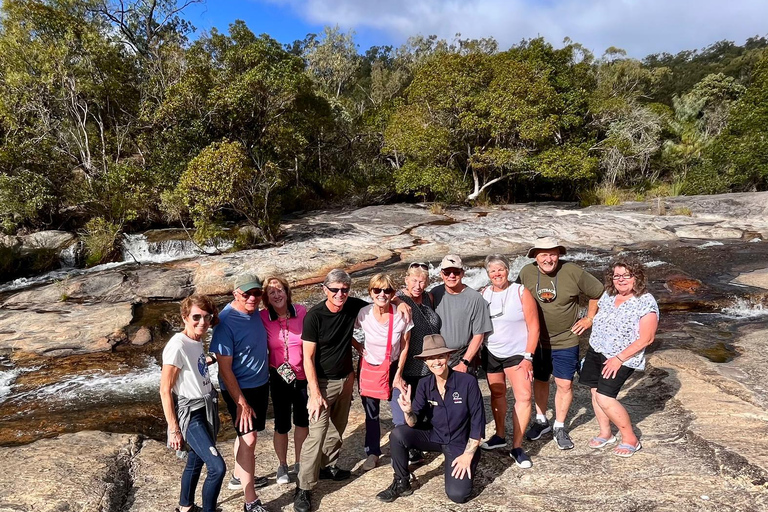 Cairns: Half-Day Premium 4WD Rainforest & Waterfall Tour Half Day Tour