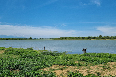 From South Coast: Udawalawe Park Safari with Ella Drop-off