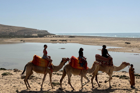 Desde Agadir: Paseo en Camello y Excursión a los Flamencos