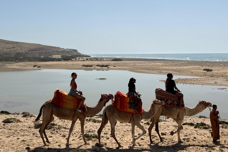 Desde Agadir: Paseo en Camello y Excursión a los Flamencos