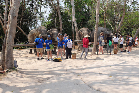 Siem Reap: Tour en grupo reducido por el Bosque de Elefantes de Kulen