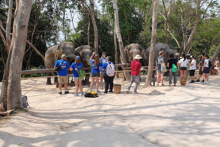 Siem Reap: Tour per piccoli gruppi della foresta degli elefanti di Kulen