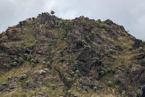 内罗毕：3日阿伯达雷国家公园经济型Safari内罗毕：3天阿伯达雷国家公园经济型Safari之旅