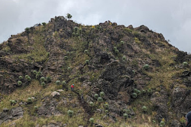 内罗毕：3日阿伯达雷国家公园经济型Safari内罗毕：3天阿伯达雷国家公园经济型Safari之旅