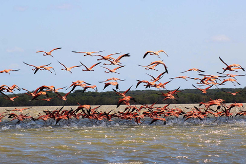 Santa Marta - Parc naturel national Los Flamingos