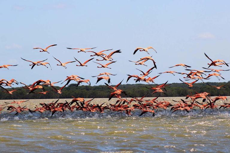 Santa Marta - Parc naturel national Los Flamingos