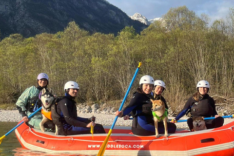 Soča River Family Rafting Tour with Dog