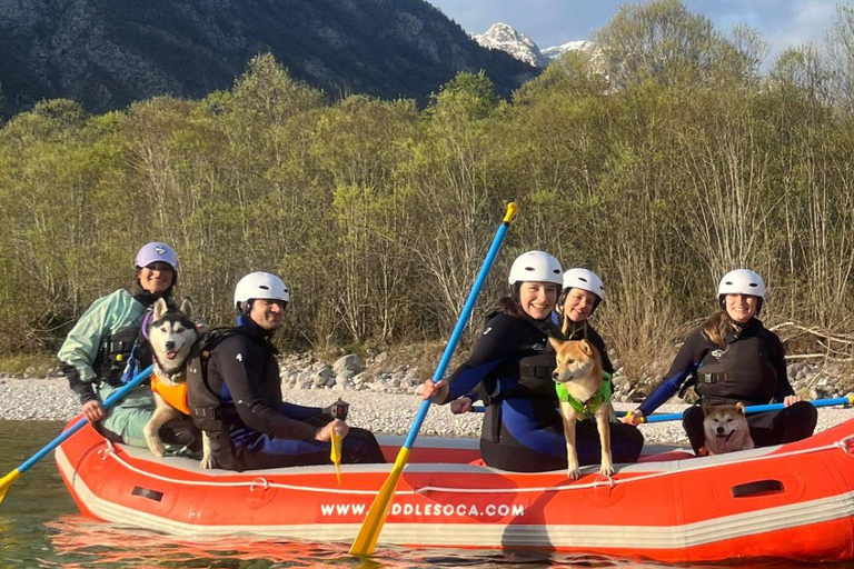 Soča River Family Rafting Tour with Dog