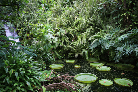 Kornwalia: Bilet wstępu do projektu Eden