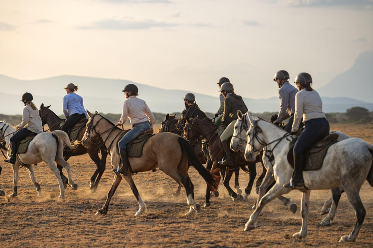 Paseo matinal a caballo en Dolly Estate: Vida salvaje y vistas panorámicas