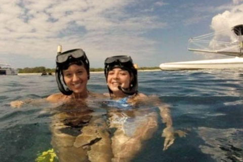 Punta Cana: Catalina Island Snorkeling Tour with Lunch