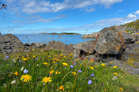 Tromso: SENJAtional: Sommaroy and Senja (7 people max) Tromso: One Day Trip to Senja