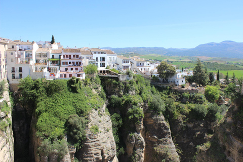 Från Málaga: Ronda-upplevelse med oljeprovning