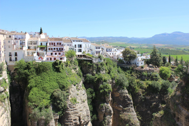 Depuis Malaga : L&#039;expérience de Ronda