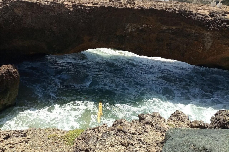 Aruba: Excursión guiada de exploración de la campiñaAruba: Excursión por el campo