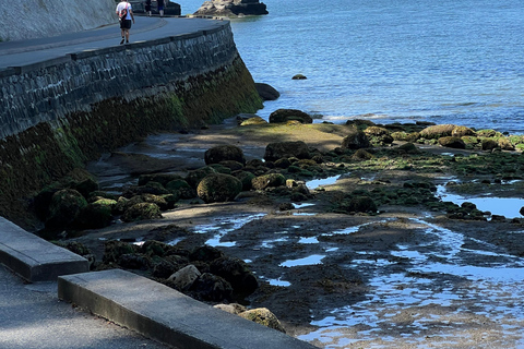 The Ultimate Stanley Park E-Bike Tour