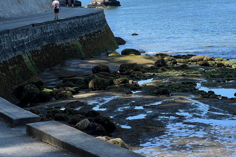 The Ultimate Stanley Park E-Bike Tour