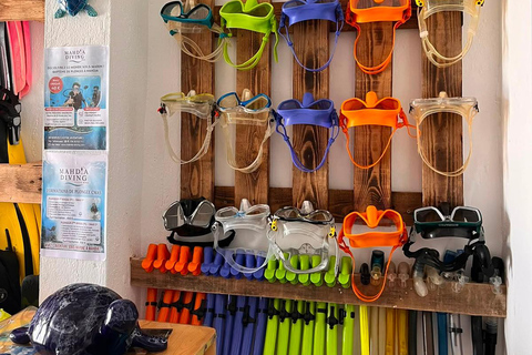 Mahdia: Guided Medina Tour and Scuba Diving Experience
