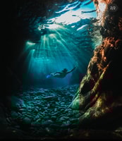 Schnorchel -Tour in Levanto und entdecken Sie die Wunder des Meeres! - Housity