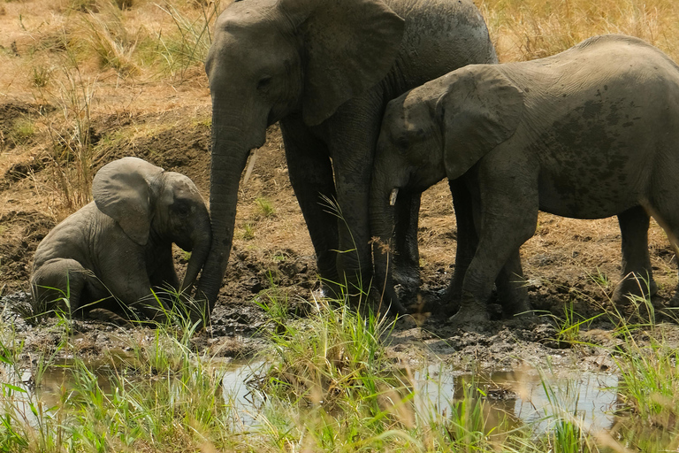 Arusha: 2-Day Tarangire & Lake Manyara Tanzania Safari Arusha: Private Day Trip to Tarangire National Park