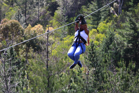 Cape Town: Zipline Adventures (Hotel Pickup &amp; Dropoff incl.)