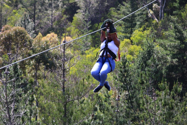 Cape Town: Zipline Adventures (Hotel Pickup &amp; Dropoff incl.)