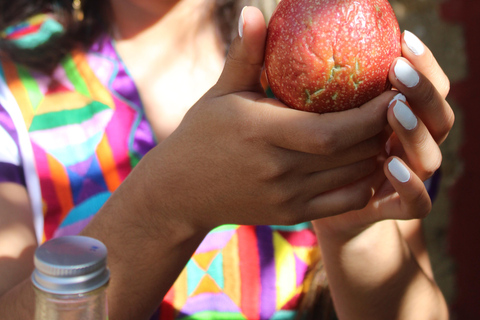 Oaxaca: Sustainable Mezcal Tour at an Award-Winning Family Distillery