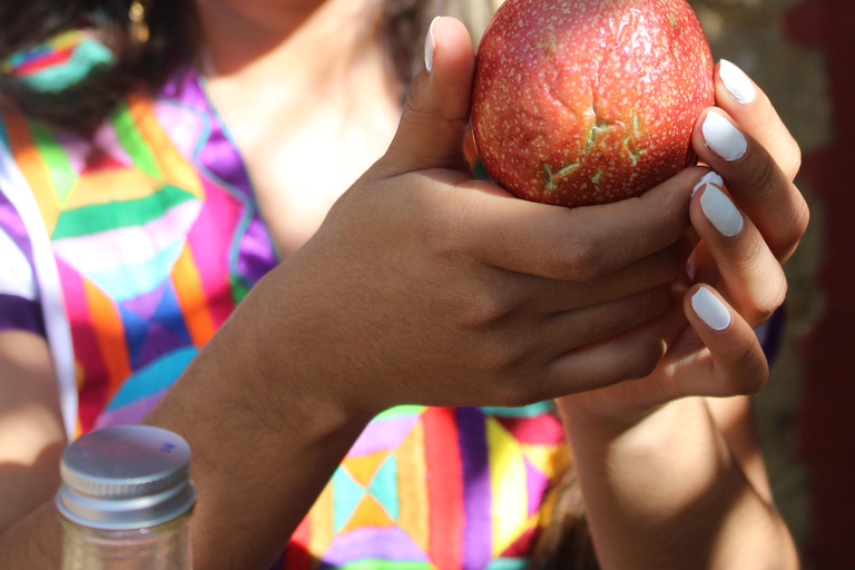 Oaxaca: Sustainable Mezcal Tour at an Award-Winning Family Distillery