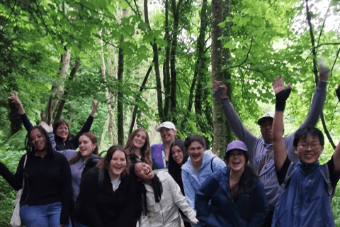 Wexford: Explore an Ancient Woodland with an Irish Witch