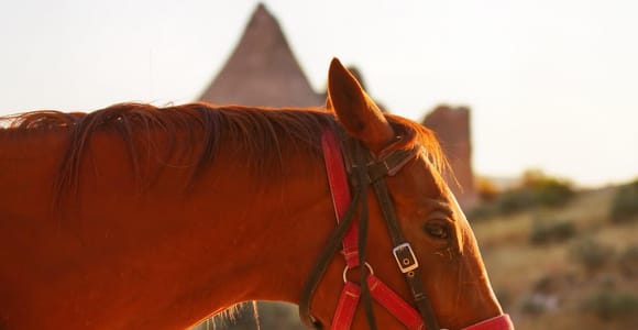 Cappadocia: Guided Horse Riding Tour in Love/Rose Valley