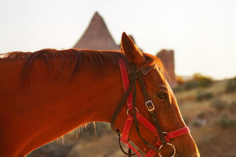 Cappadocia: Guided Horse Riding Tour in Love/Rose Valley Sunset Horse Riding Tour