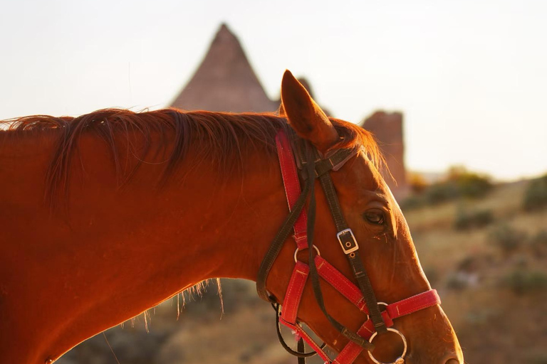 Cappadocia: Guided Horse Riding Tour in Love/Rose Valley Sunset Horse Riding Tour