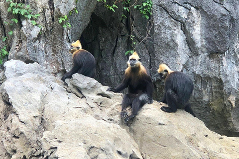 2D1N Cat Ba Island Adventure: Viet Hai Village - Lan Ha Bay