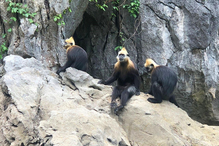 2D1N Cat Ba Island Adventure: Viet Hai Village - Lan Ha Bay