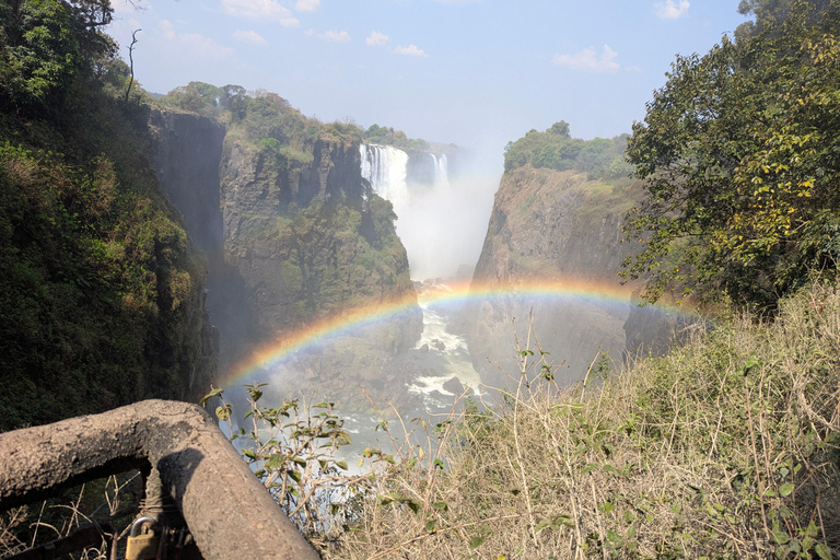 Victoria Falls Leisure Walk & Big Tree Experience
