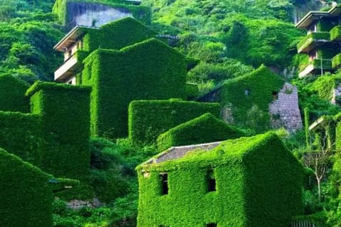 Shanghai: Shengsi 3-Day Private Tour & Floating Sea Farm