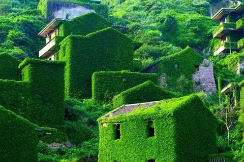 Shanghai: Shengsi 3-Day Private Tour & Floating Sea Farm