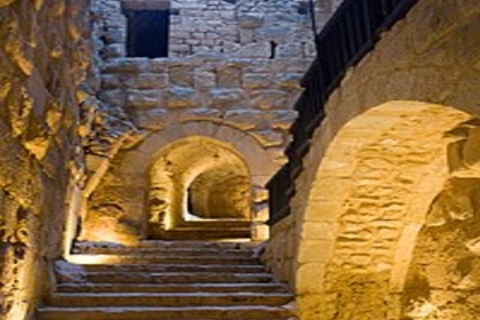 Desde Ammán: Jerash, Castillo de Ajloun Um Qais Visita PrivadaDesde Ammán: Jerash, Castillo de Ajloun Visita Privada